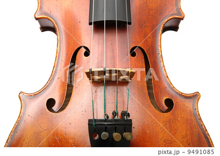 violin close up 9491085