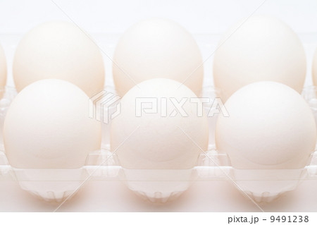 White egg in row 9491238