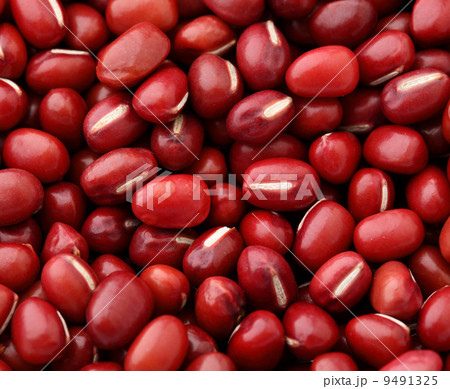Adzuki Red Bean 9491325