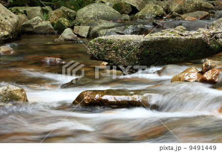 beautiful spring beautiful spring 9491449