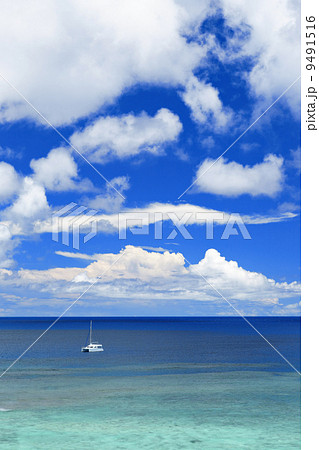 seascape at summer 9491516