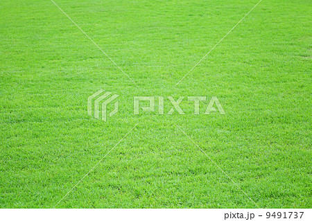 Grass field meadow background Grass field meadow background 9491737
