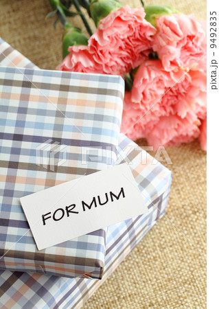 Gift and pink carnations flower for Mother's Day Gift and pink carnations flower for Mother's Day 9492835