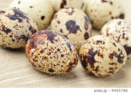quail eggs 9493786