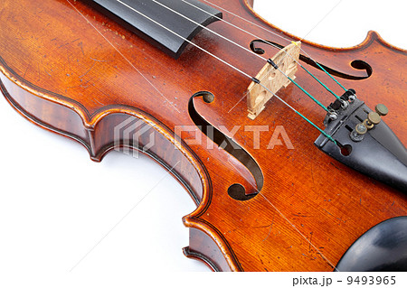 violin 9493965