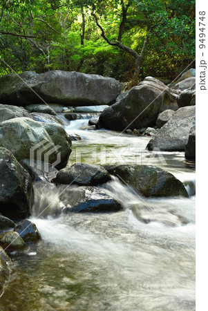 water spring in forest water spring in forest 9494748