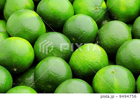 lime citrus fruit lime citrus fruit 9494756
