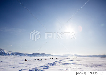 Dog Sled Expedition 9495032