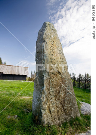 Viking Ruins 9495399