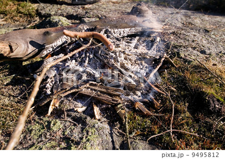 Wiener Roast Wiener Roast 9495812