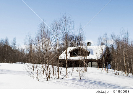 Winter Forest Cabin 9496093
