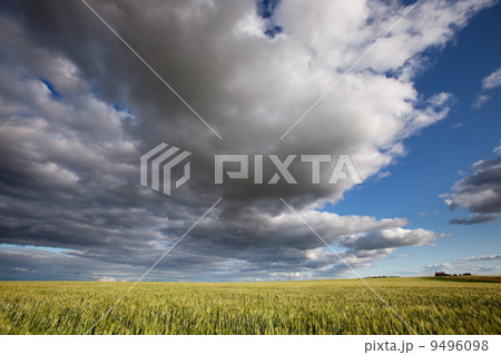 Prairie Landscape 9496098