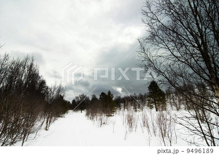 Winter Moody Landscape 9496189