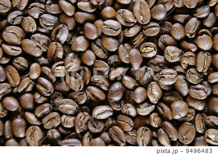 Light Roast Beans 9496483
