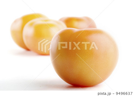 Tomatoes Tomatoes 9496637