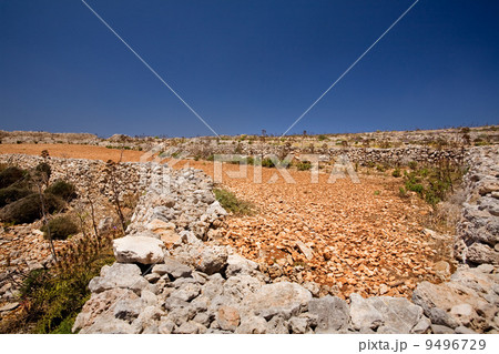 Rock field Rock field 9496729