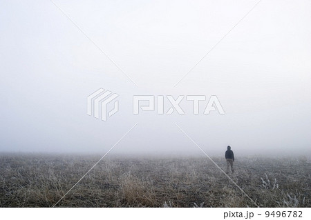 Fog Walk Fog Walk 9496782