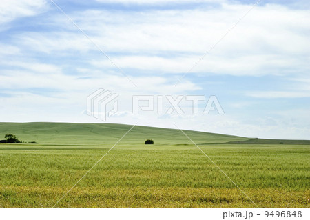 Prairie Landscape 9496848