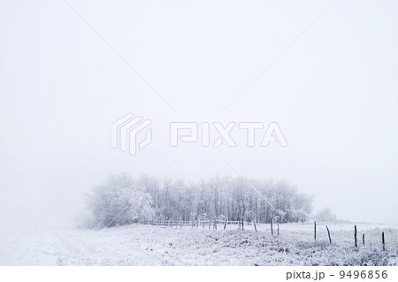 Prairie Fog Prairie Fog 9496856