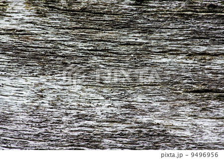 Wood Texture Wood Texture 9496956