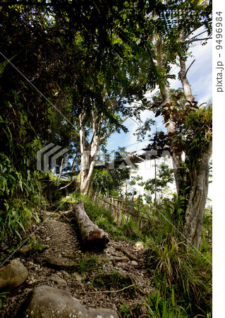 Tropical Mountain Trail Tropical Mountain Trail 9496984