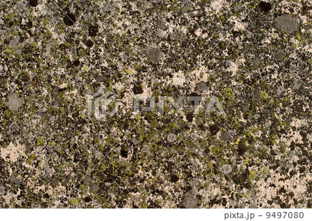 Rock Texture Rock Texture 9497080