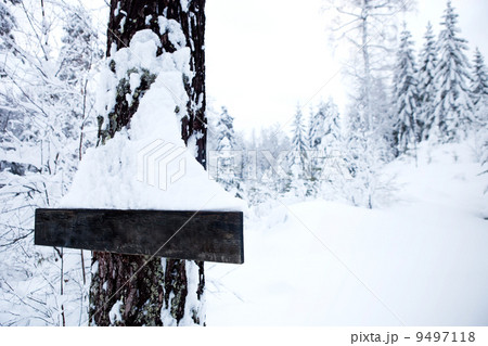 Winter Landscape - Blank Sign 9497118