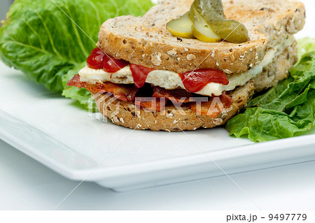 Denver Sandwich 9497779