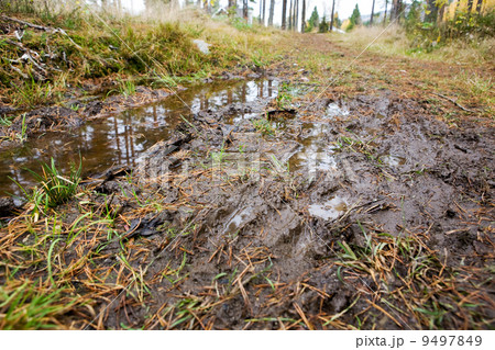 圖庫照片: mud puddle