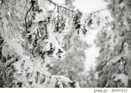 Wind Blown Snow Detail 9497932