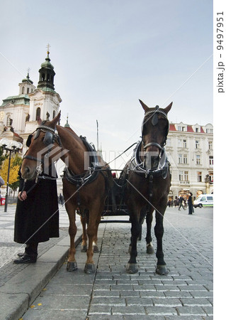 Horse Drawn Cart 9497951