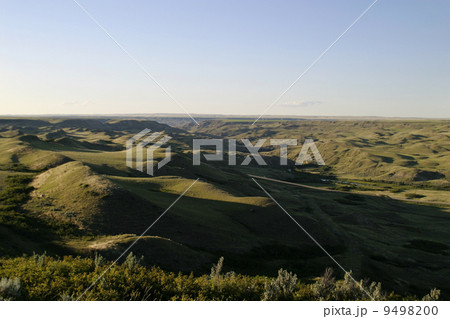 Cattle Round Up 9498200