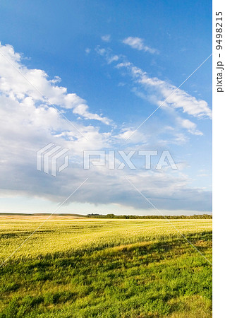 Prairie Sky Landscape Prairie Sky Landscape 9498215