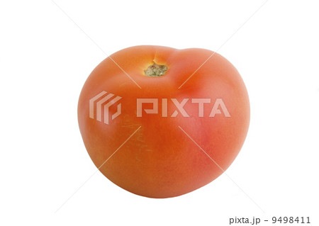 Tomato 9498411