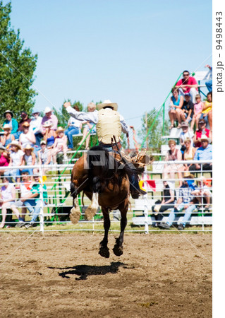 Saddle Bronc 9498443