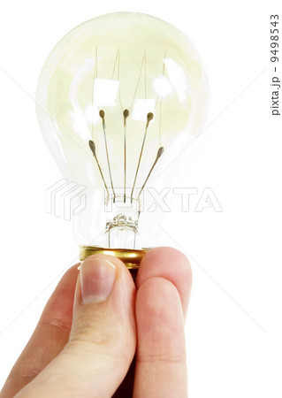 Light Bulb 9498543