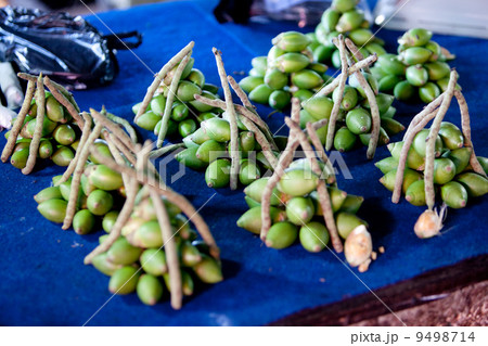 Areca Nut Areca Nut 9498714