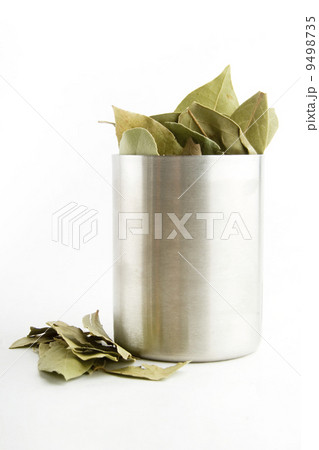 Bay Leaves 9498735