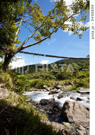 Mountain River with Hanging Bridge 9498899