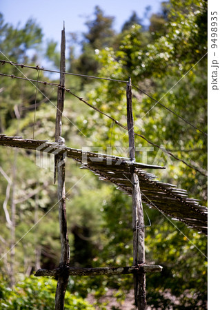 Hanging Bridge Suspension 9498935