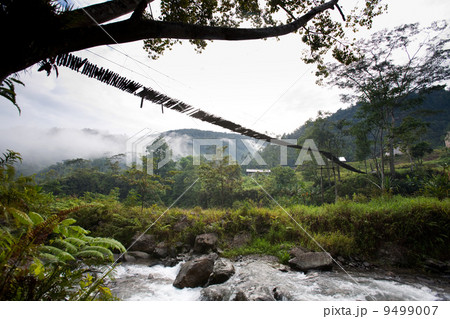Hanging Bridge Suspension Hanging Bridge Suspension 9499007