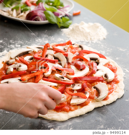 Homemade Italian Style Pizza 9499114