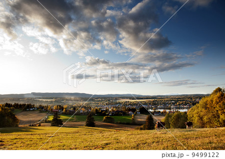Rural Landscape Rural Landscape 9499122
