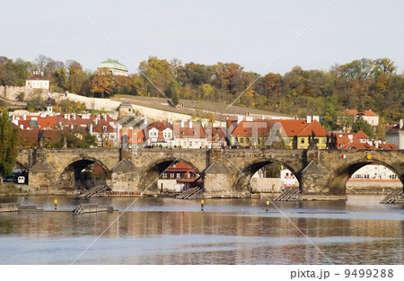 Charles Bridge 9499288