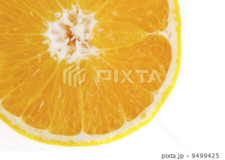 Orange Slice Detail 9499425