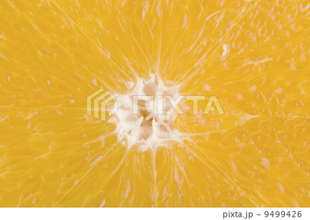 Orange Slice Detail 9499426