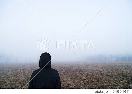 Fog Walk 9499447