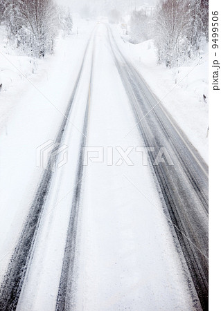 Billzard on Road 9499506