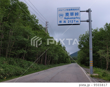 麦草峠 9503817