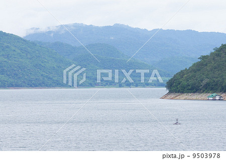 Dam 9503978